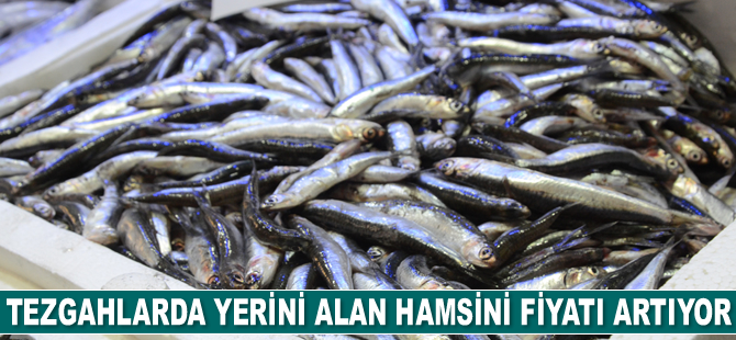 Tezgahlarda yerini alan hamsinin fiyatı artıyor