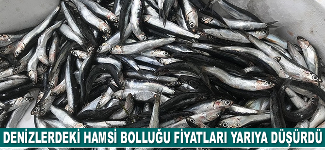 Denizlerdeki hamsi bolluğu fiyatları yarıya düşürdü