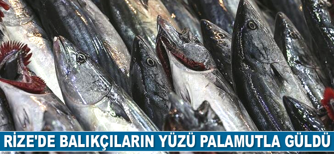 Rize'de balıkçıların yüzü palamutla güldü