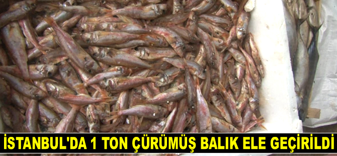 Tuzla'da 1 ton çürümüş balık ele geçirildi