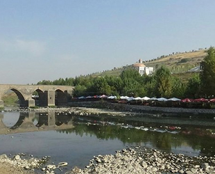 Barajdan gelen su kesildi, Dicle Nehri’nde binlerce balık telef oldu
