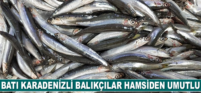 Batı Karadenizli balıkçılar, hamsiden umutlu görünüyor