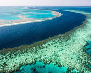 Büyük Set Resifi’nde 500 metre yüksekliğe sahip mercan kulesi bulundu