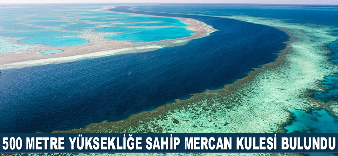 Büyük Set Resifi’nde 500 metre yüksekliğe sahip mercan kulesi bulundu