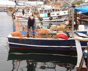 Kıyı balıkçıları, balık çeşitlerinin yok olmasından şikayetçi ediyor