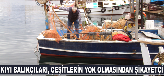 Kıyı balıkçıları, balık çeşitlerinin yok olmasından şikayetçi ediyor