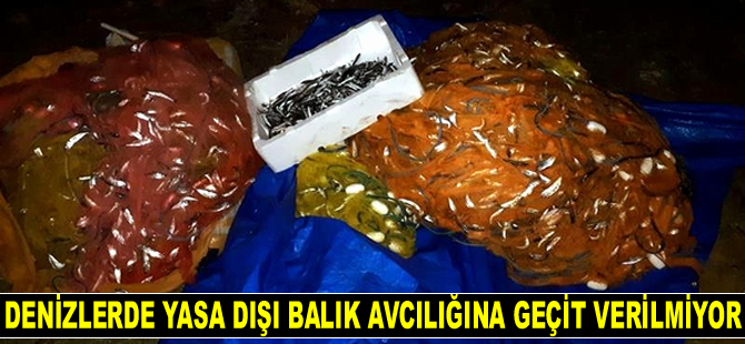 Denizlerde yasa dışı balık avcılığına geçit verilmiyor