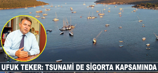 Ufuk Teker: Tsunami de sigorta kapsamında
