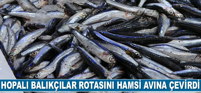 Hopalı balıkçılar rotasını hamsi avına çevirdi