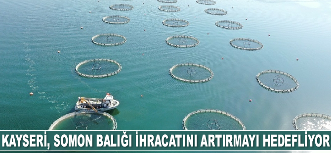 Kayseri, somon balığı ihracatını artırmayı hedefliyor
