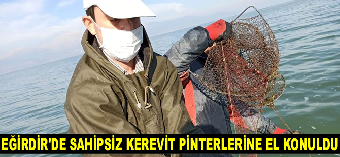 Eğirdir’de 640 adet sahipsiz kerevit pinterine el konuldu