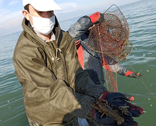 Eğirdir’de 640 adet sahipsiz kerevit pinterine el konuldu