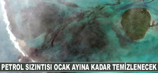 Morityus açıklarındaki petrol sızıntısı Ocak ayına kadar temizlenecek
