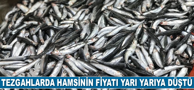 Hamsinin fiyatı yarı yarıya düştü