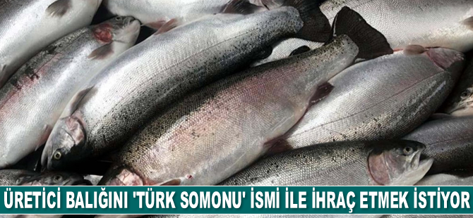 Üretici balığını 'Türk somonu' ismi ile ihraç etmek istiyor