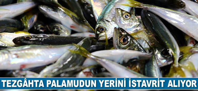 Tezgâhta palamudun yerini istavrit alıyor