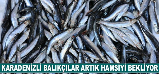 Karadenizli balıkçılar hamsiyi bekliyor