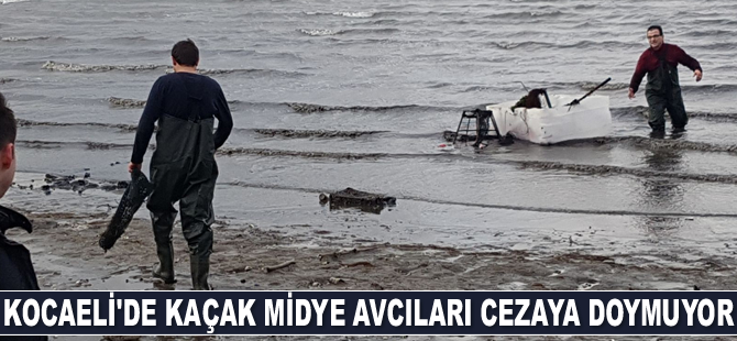 Kocaeli’de kaçak midye avcıları cezaya doymuyor