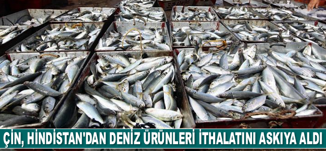 Çin, Hindistan'dan deniz ürünleri ithalatını askıya aldı