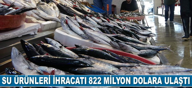 Türkiye'nin su ürünleri ihracatı 822 milyon dolara ulaştı