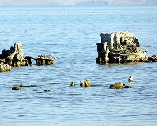 Van Gölü’nde sular çekilince mikrobiyalitler ortaya çıktı