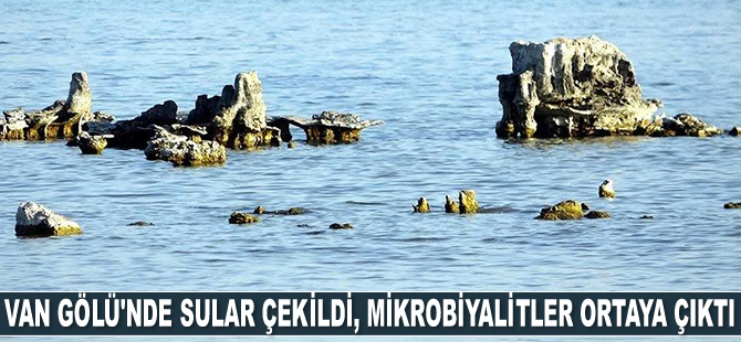 Van Gölü’nde sular çekilince mikrobiyalitler ortaya çıktı