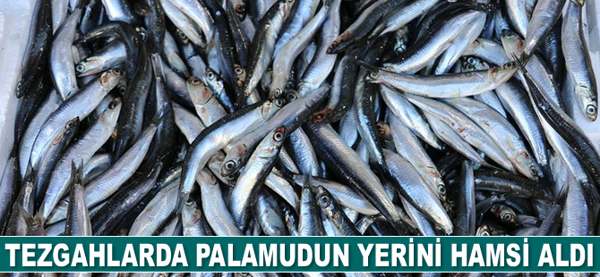 Tezgahlarda palamudun yerini hamsi aldı