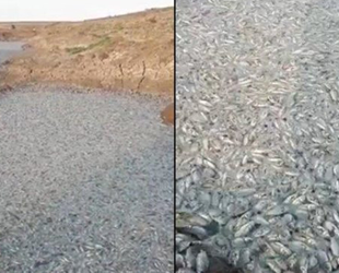 Ilısu Barajı’nda kapaklar açıldı, korkutan görüntüler oluştu