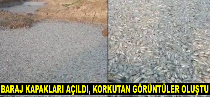 Ilısu Barajı’nda kapaklar açıldı, korkutan görüntüler oluştu