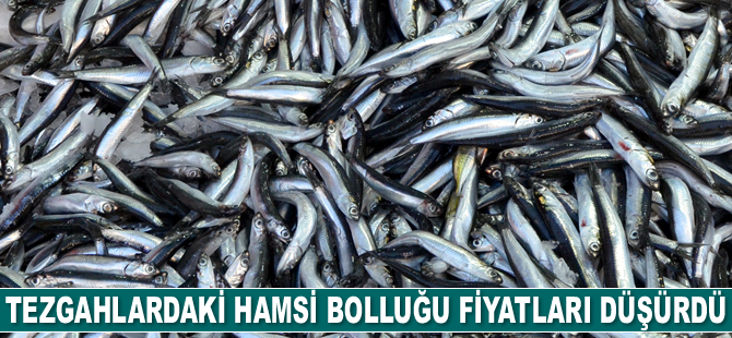 Hamsi bolluğu fiyatları düşürdü