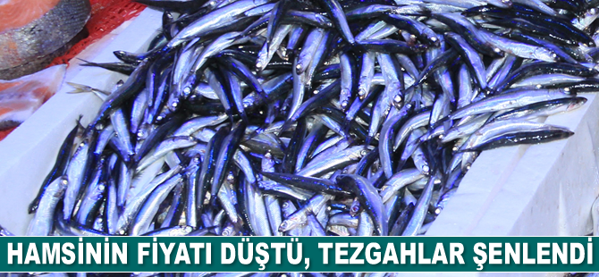 Samsun’da hamsinin fiyatı düştü, tezgahlar şenlendi