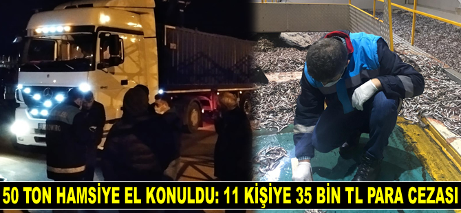 Trabzon'da 50 ton hamsiye el konuldu