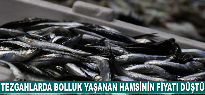 Tezgahlarda bolluk yaşanan hamsinin fiyatı düştü