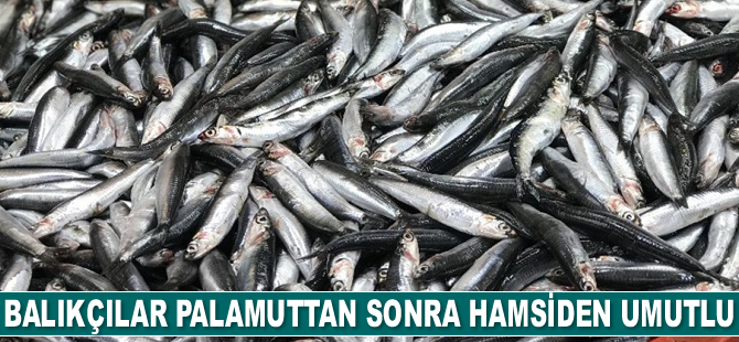 Balıkçılar, ümidini hamsiye bağladı
