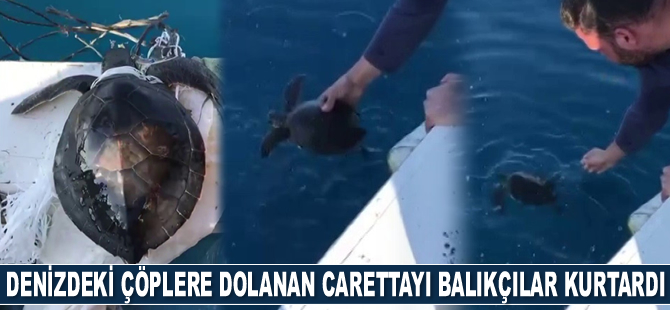 Denizdeki çöplere dolanan yeşil yavru deniz kaplumbağasını balıkçılar kurtardı