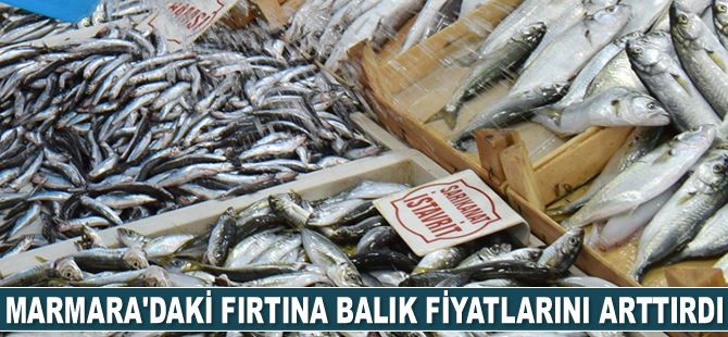 Marmara Denizi'ndeki fırtına balık fiyatlarını arttırdı