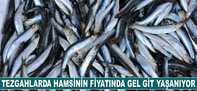 Hamsinin fiyatında gel git yaşanıyor