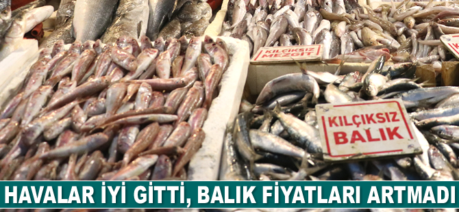 Mersin'de havaların iyi gitmesinden dolayı balığa zam gelmedi