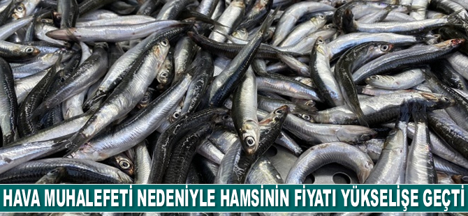 Hava muhalefeti nedeniyle hamsinin fiyatı yükselişe geçti