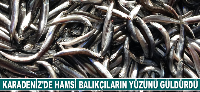 Karadeniz'de hamsi balıkçıların yüzünü güldürdü