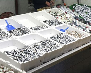 Batı Karadeniz'de balığın azalması fiyatları artırdı