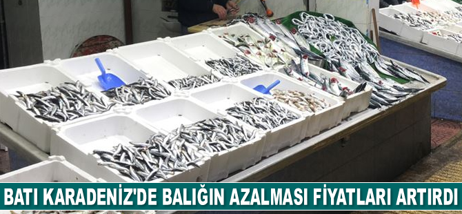 Batı Karadeniz'de balığın azalması fiyatları artırdı