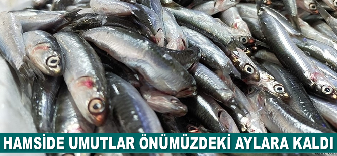 Hamside umutlar önümüzdeki aylara kaldı