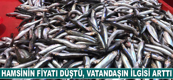 Hamsinin fiyatı düştü, vatandaşın ilgisi arttı