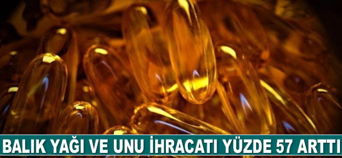 Balık yağı ve unu ihracatı yüzde 57 arttı