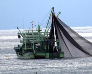 150 balıkçı teknesine kaçak avlanma nedeniyle el konuldu