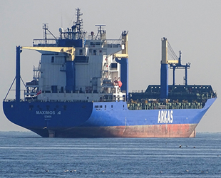 Arkas Denizcilik, Maximos A isimli gemiyi Global Feeder'e sattı