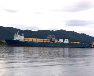 Gemisini söküme yollayan armatör, hapse mahkum edildi