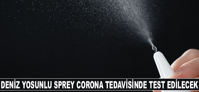 Deniz yosunlu burun spreyi coronavirüs tedavisinde test edilecek