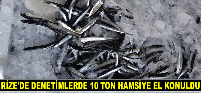 Rize'de 10 ton hamsiye el konuldu